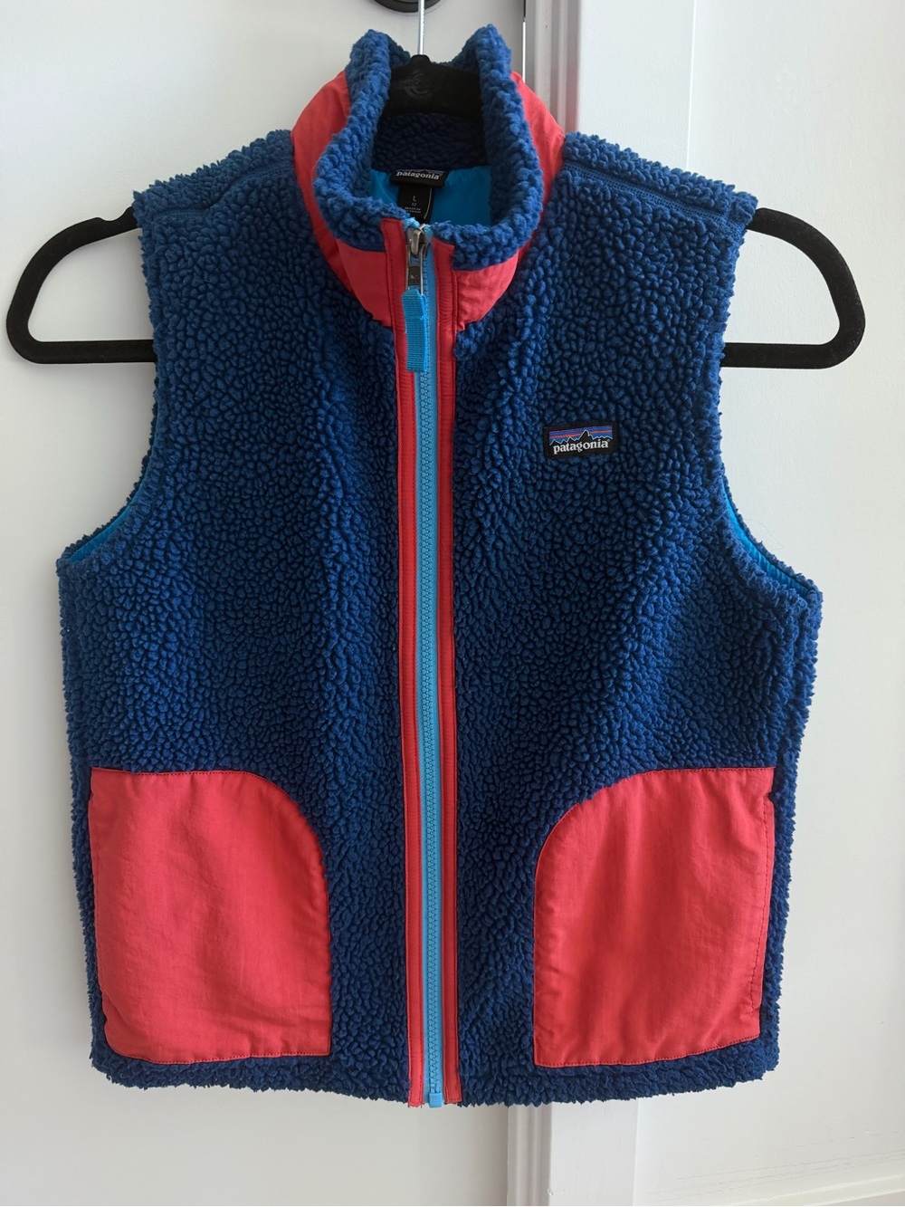 Patagonia Fleece Vest